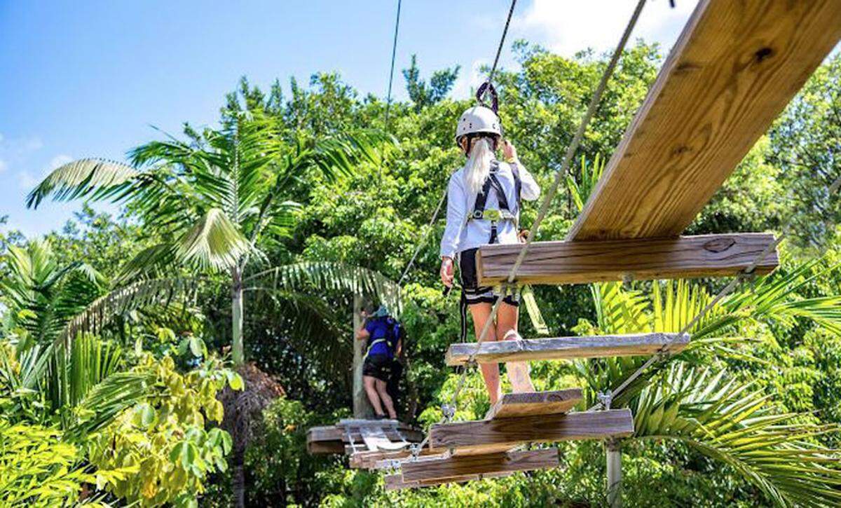 Treetop Trekking Miami abierto (excepto los martes), en Jungle Island.