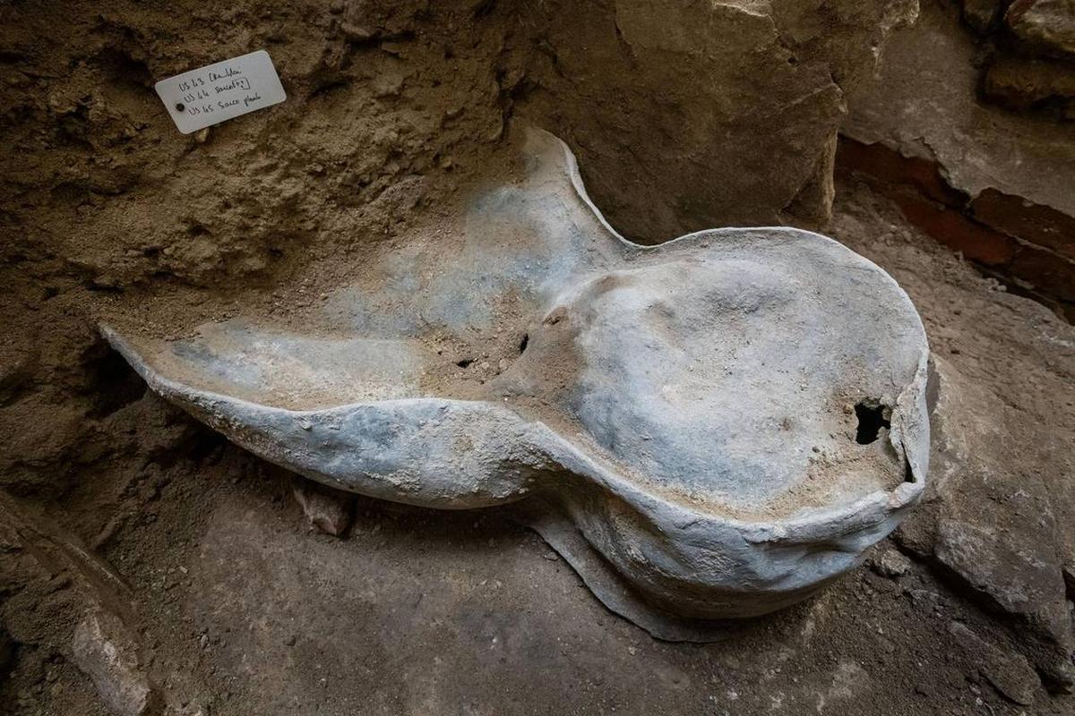 El ataúd desconocido tal como se veía en la Catedral de Notre Dame Foto del Instituto Nacional de Investigación Arqueológica Preventiva de Francia (INRAP)