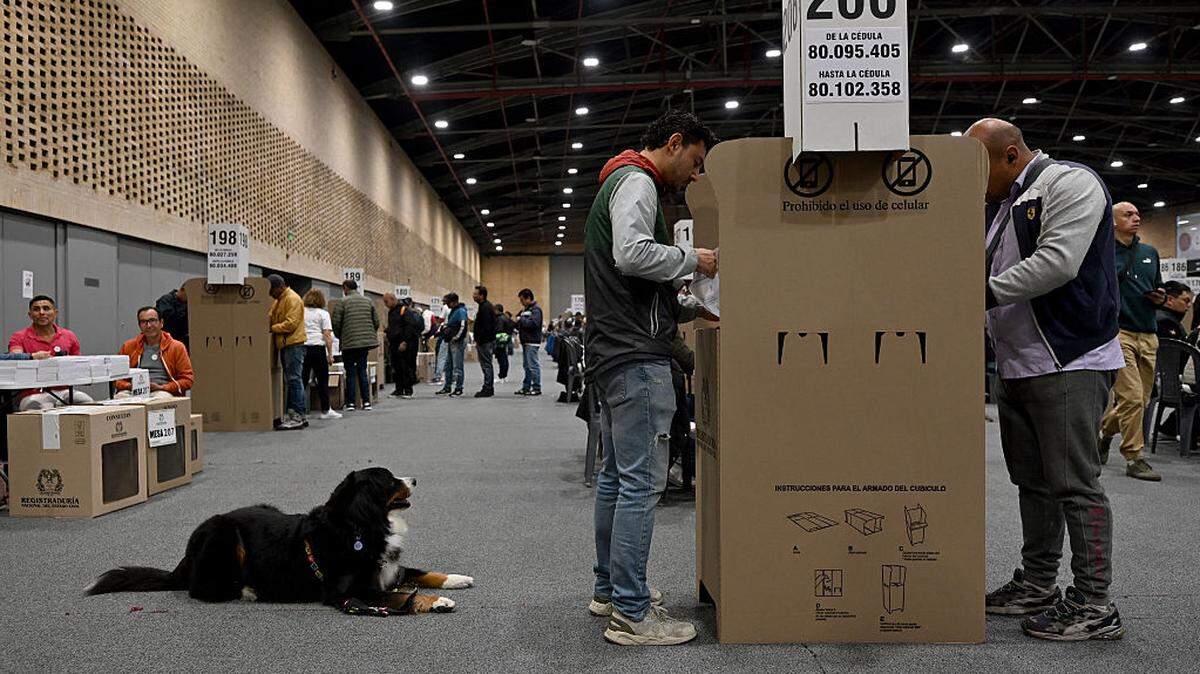 Un hombre acompañado de su perro vota en un colegio electoral en el centro de convenciones Corferias durante las elecciones legislativas en Bogotá, el domingo 8 de marzo de 2026. Los colombianos votan el 8 de marzo en las elecciones legislativas que definirán los últimos meses del mandato del presidente izquierdista Gustavo Petro y pondrán a prueba si la otrora poderosa derecha del país está preparada para un regreso político.
