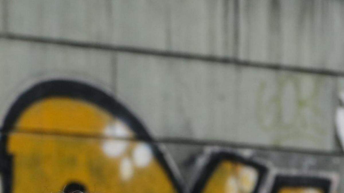 Julio Borges, presidente de la Asamblea Nacional, lidera una marcha el miércoles en Caracas, Venezuela. 