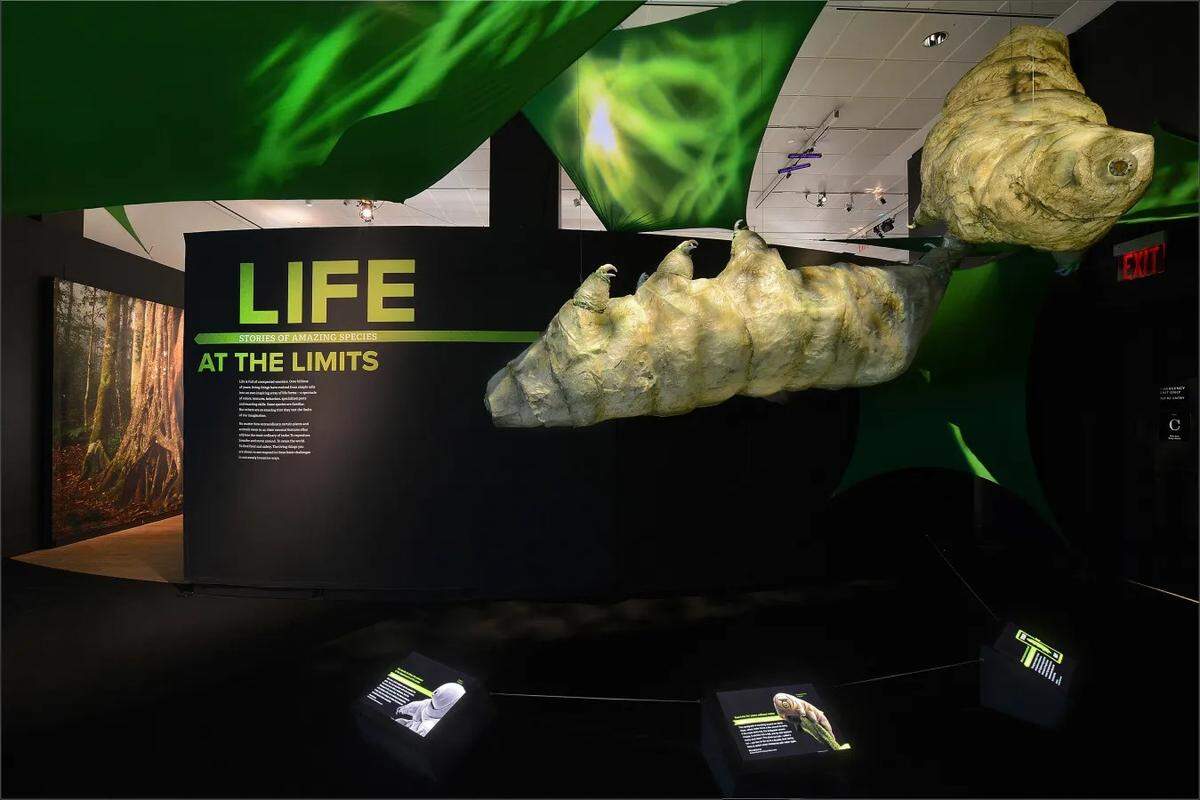 “Superhéroes de la naturaleza’: Una nueva exposición especial en Frost Science.