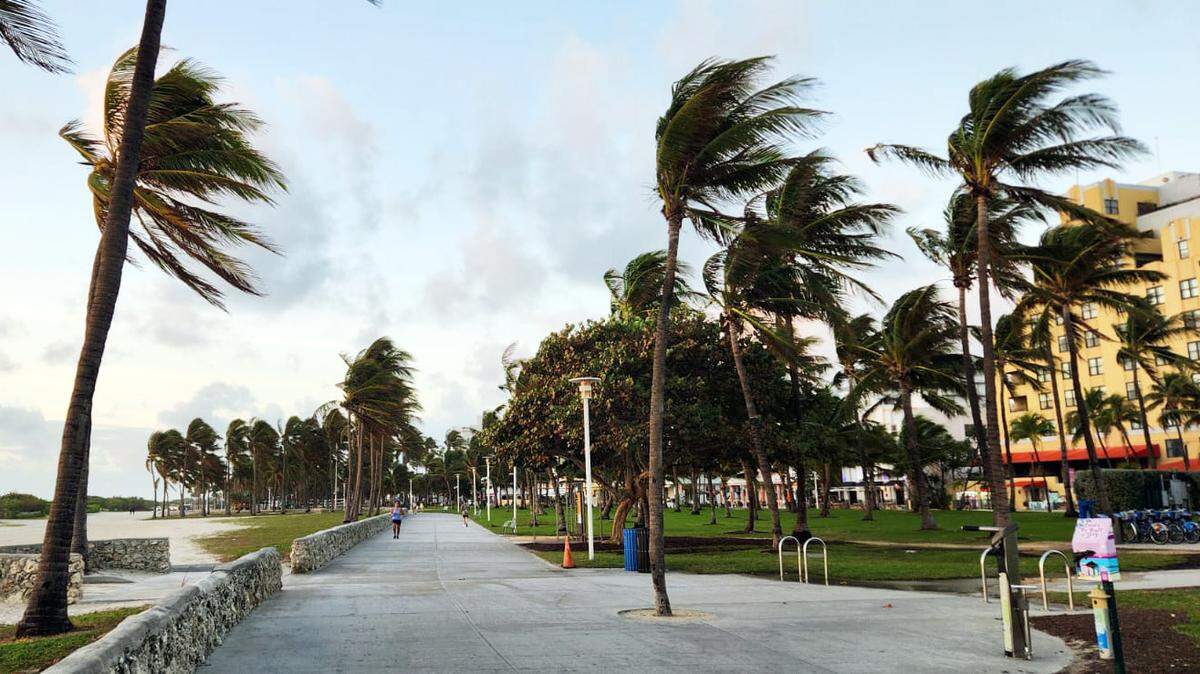 Día ventoso en Miami Beach el martes 23 de enero de 2024.