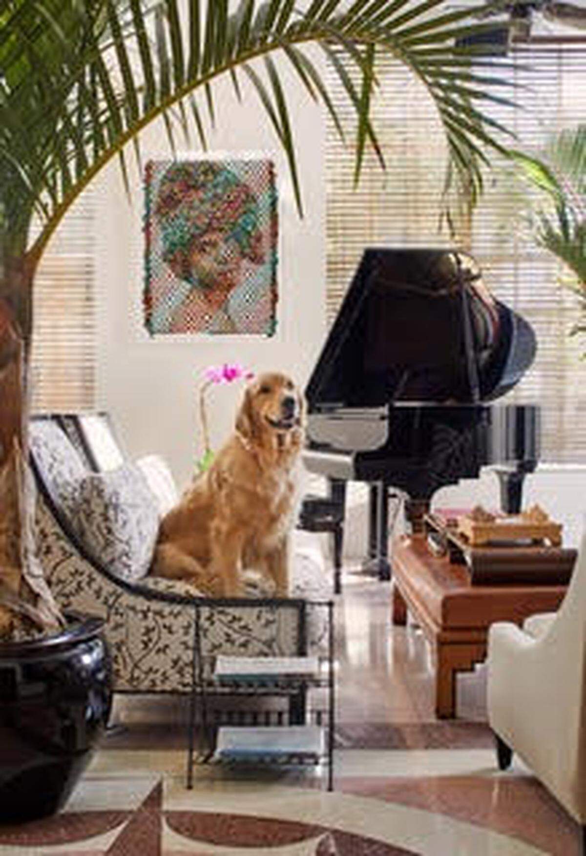 The Betsy celebra la amistad y el vínculo con las mascotas con una experiencia que combina hospitalidad, música y cultura.