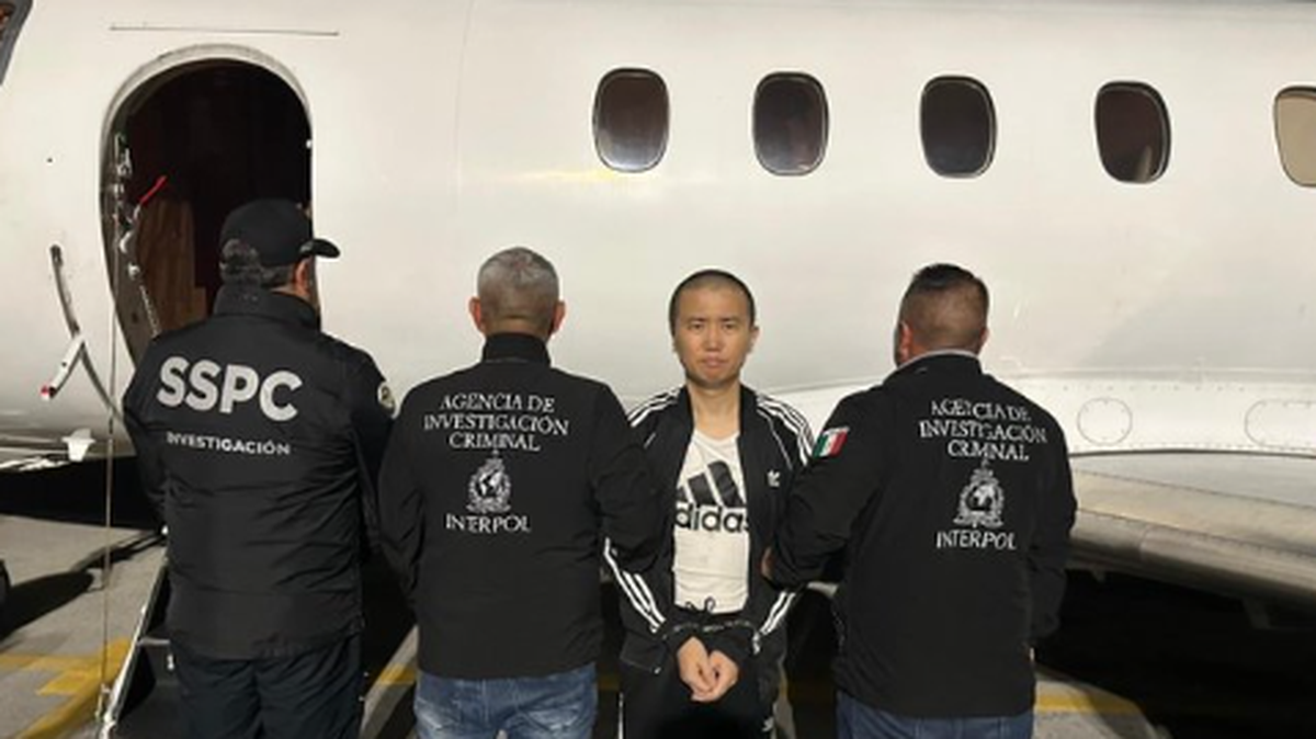 El Gobierno de México informó este jueves la entrega a las autoridades de Estados Unidos de Zhi Dong Zhang, señalado como uno de los principales traficantes de fentanilo en el país y hacia Estados Unidos, luego de haber sido extraditado desde Cuba.