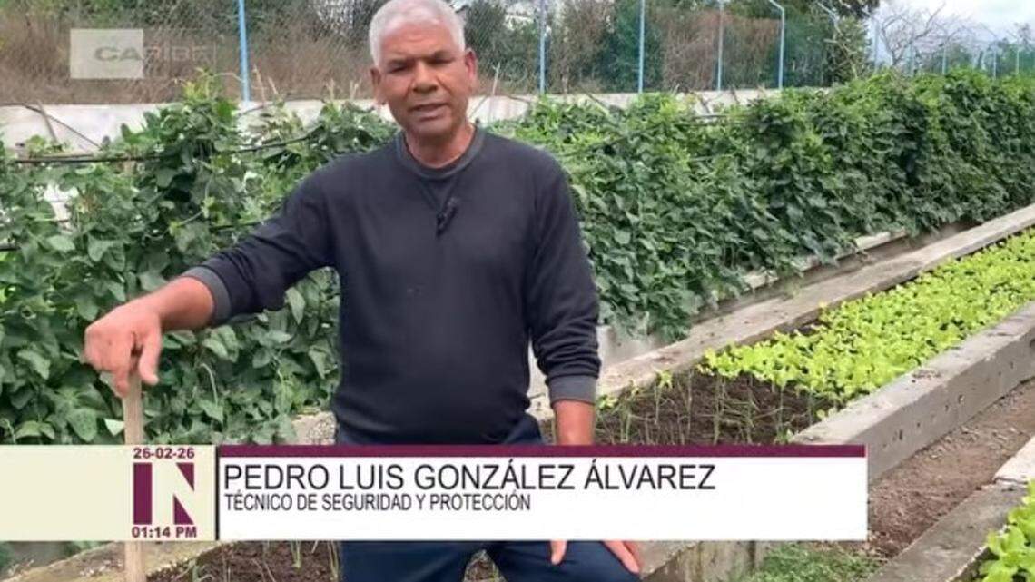 Pedro Luis González, empleado de ETECSA en Las Tunas, presenta un proyecto agrícola que reutiliza postes de telecomunicaciones para sembrar alimentos en medio de la crisis en Cuba.