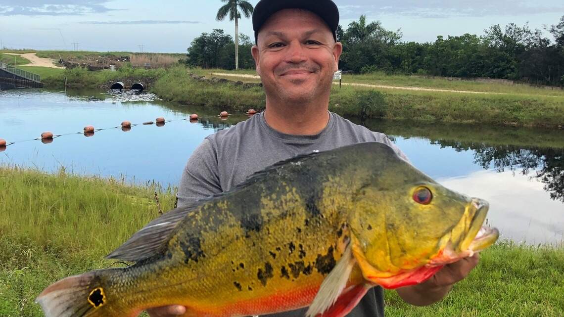 Hombre de Hialeah rompe récord de pesca en Florida previamente establecido en 1993