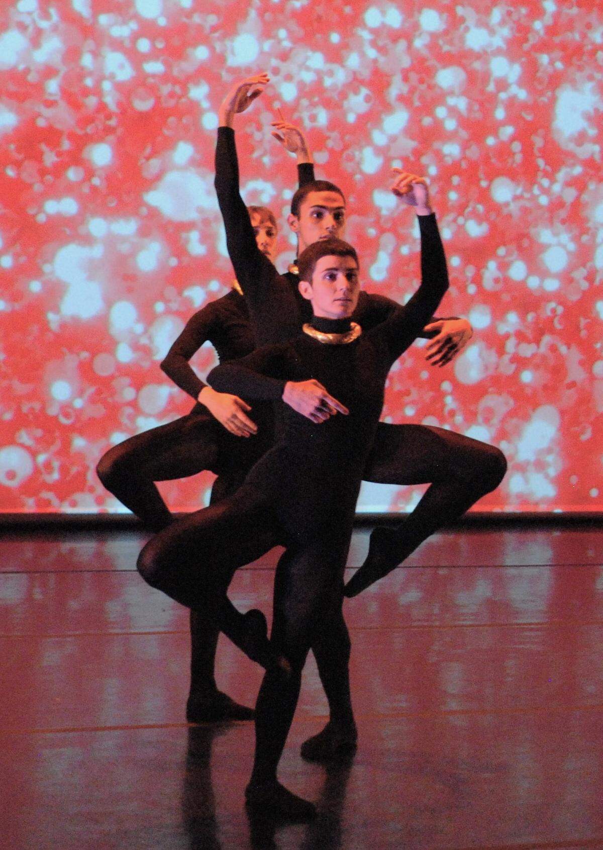 La nueva puesta en escena danzaria de brigid baker wholeproject es un esfuerzo conjunto en el que participan los bailarines Meredith Barton, Isaiah González y Amy Trieger.