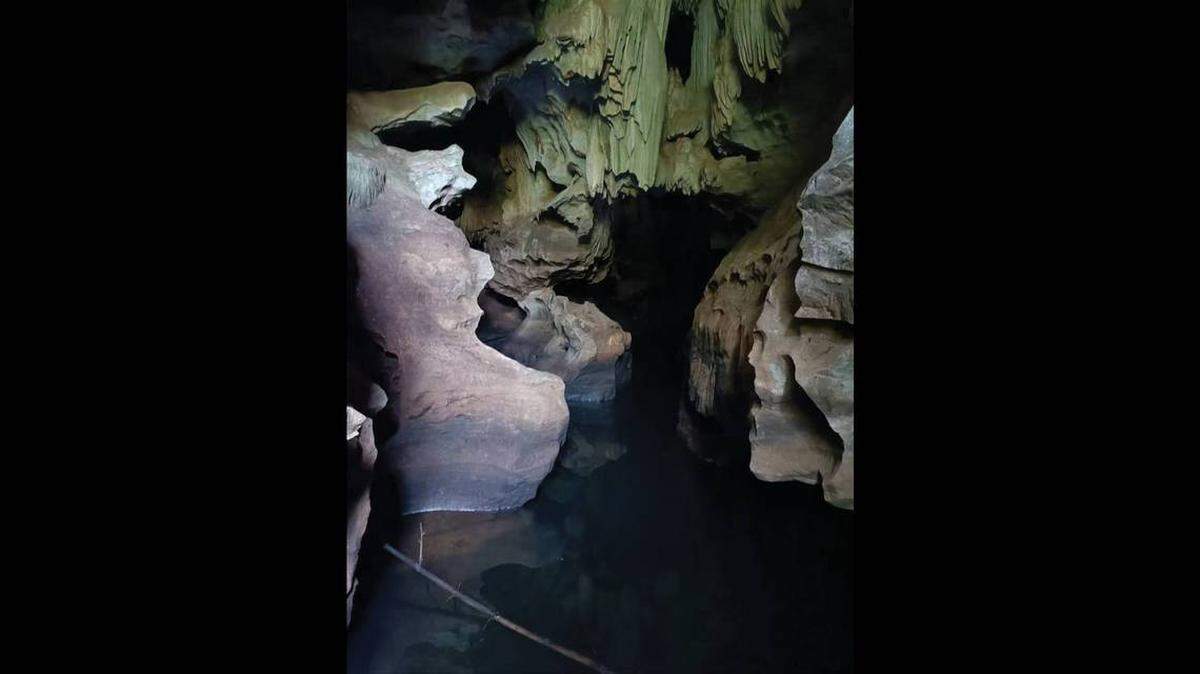 Científicos descubren nueva especie en caverna al sur de China.