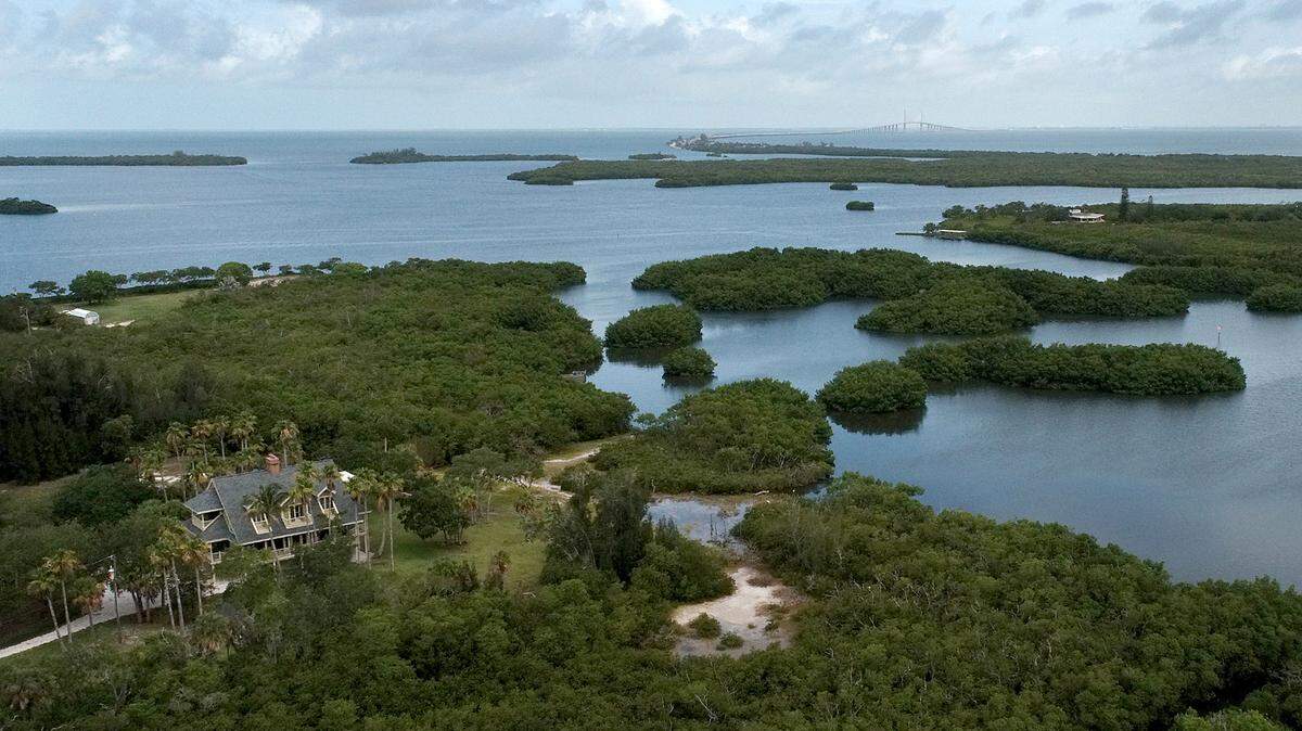 Florida quiere preservar 2.300 acres de manglares y bosques planos ambientalmente sensibles de Terra Ceia.
