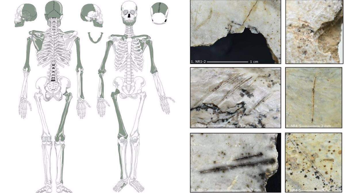11/02/2025 Marcas de cortes e impactos que indican canibalismo en varias partes humanas del esqueleto de la cueva de Maszycka.

