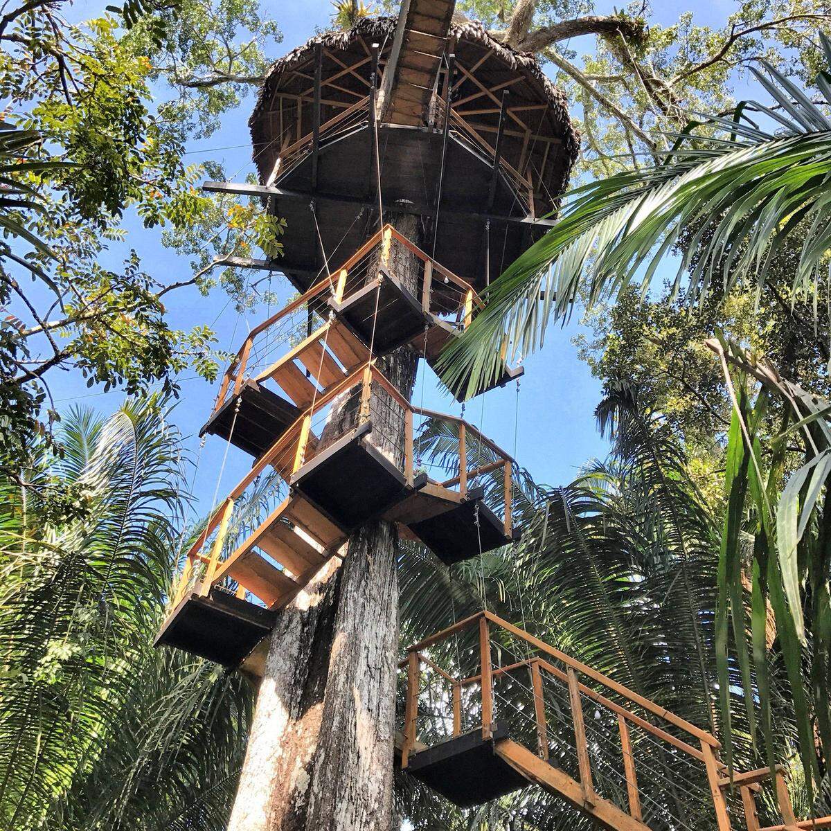 Una vista del Treehouse Lodge, Loreto, Perú, en la ciudad de Iquitos, en plena Amazonía.