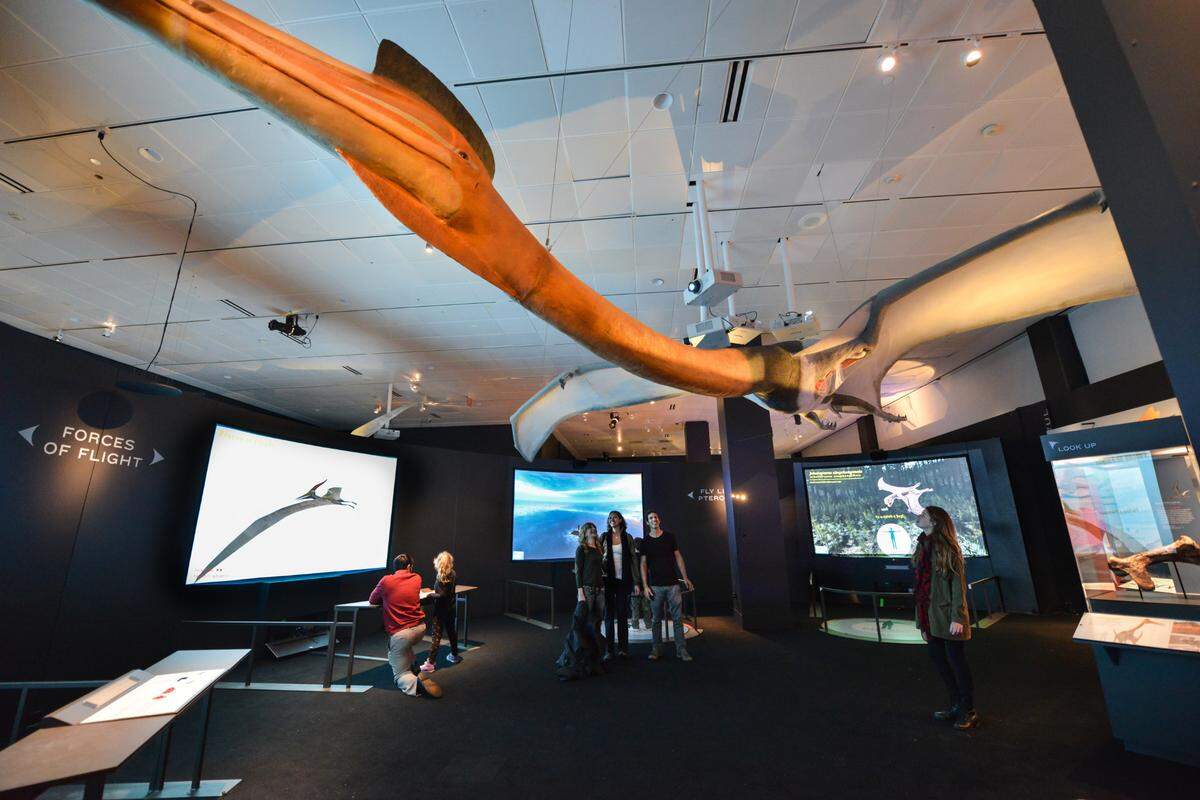 “Pterosaurs: Flight in the Age of Dinosaurs” at the Frost.