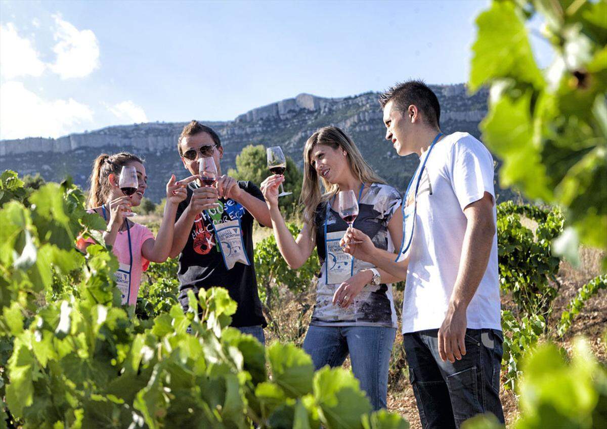 Una cata de vinos en las bodegas Cellers Baronia del Montsant que se encuentran en la población de Cornudella de Montsant, en Tarragona.