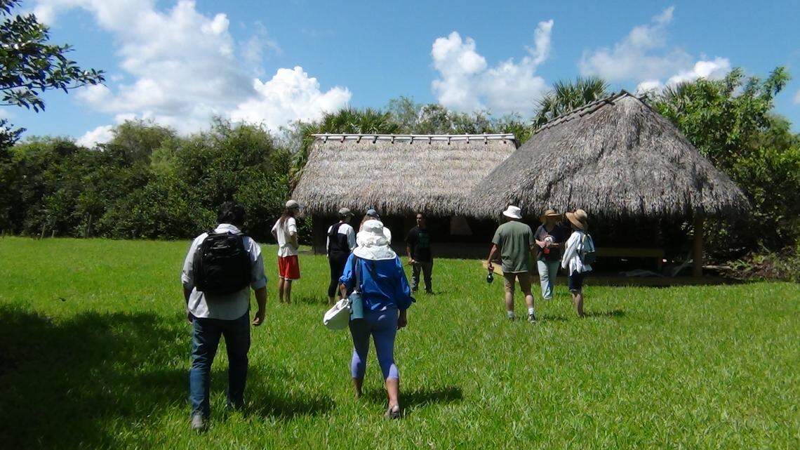 En Otter Island hay uvas muscainas silvestres deliciosas, ciruelas de coco sabrosas y colmenas de miel de la abeja hornet. También, cientos de coloridos saltamontes.