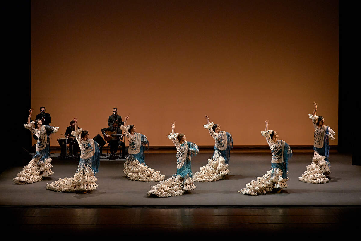 “Viva!!” es una de las puestas en escena mejor recibida por público y crítica en la historia reciente del flamenco teatralizado español.