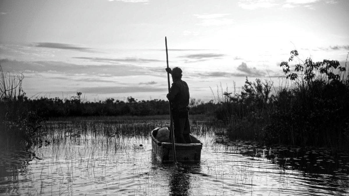 ‘Al oeste, en Zapata’ (To the West, in Zapata), documental cubano dirigido por el cineaste español David Bim, se presenta en el Festival de Cine de Miami como parte de ‘Spotlight on Cuba’.
