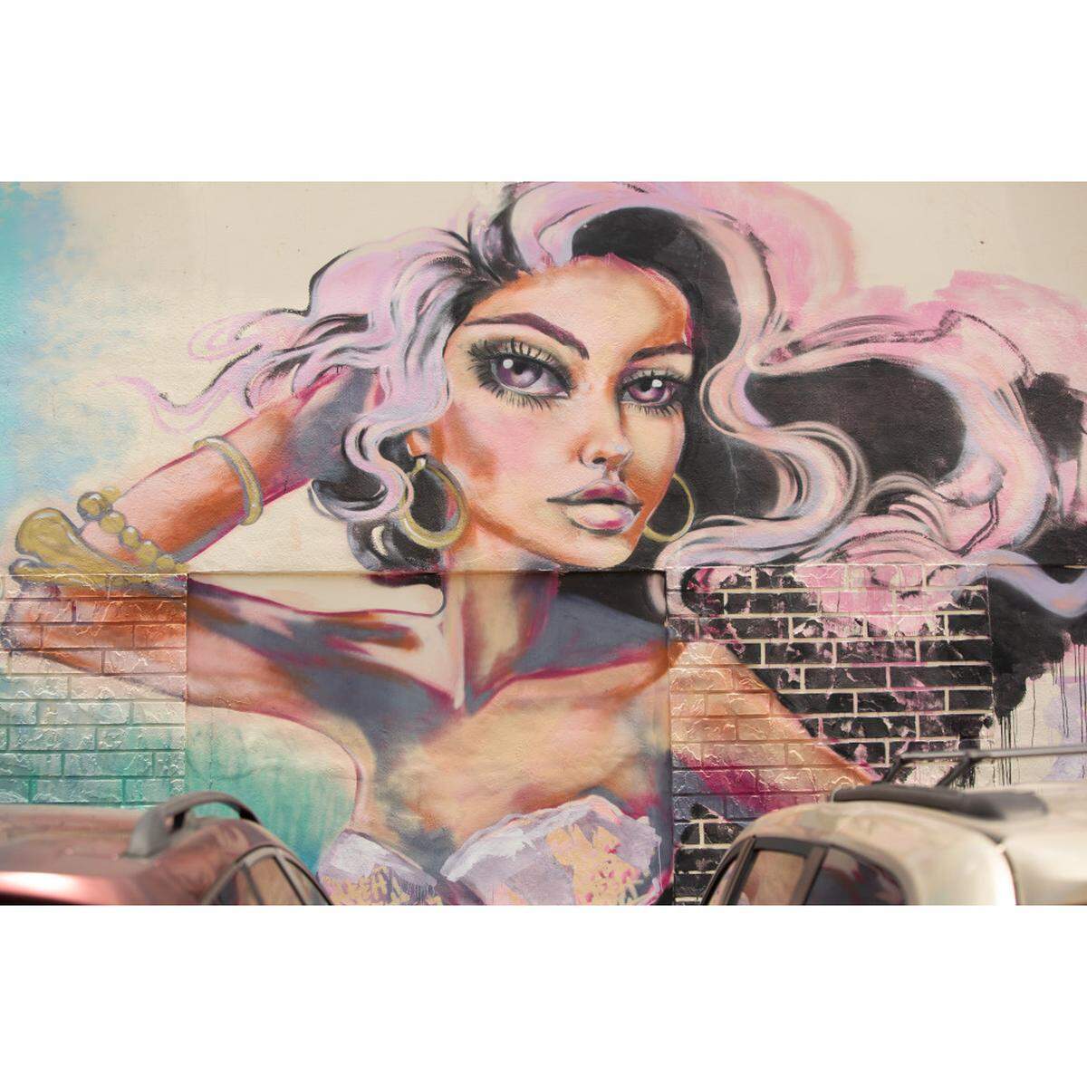 Mural en el Distrito de Arte Leah en Hialeah.