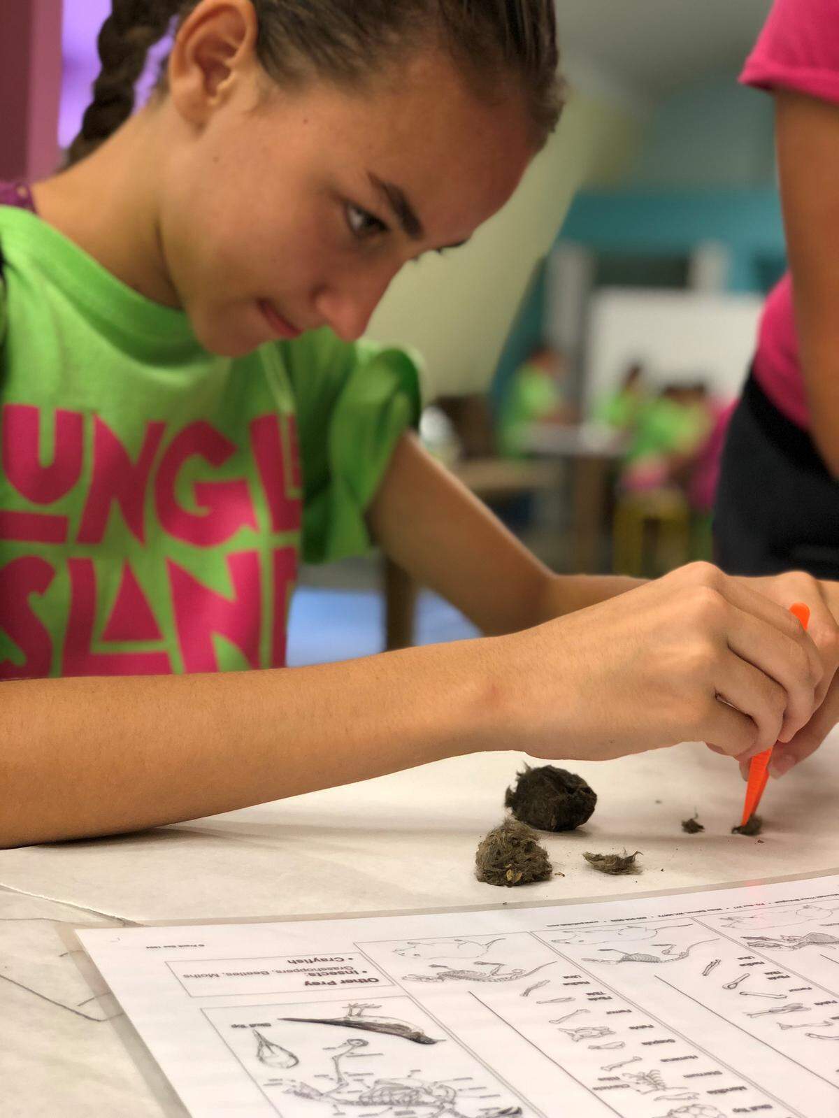 “Jungle Adventure Camp” está diseñado para mantener a los niños de 5 a 12 años comprometidos y entretenidos durante las largas vacaciones de verano.