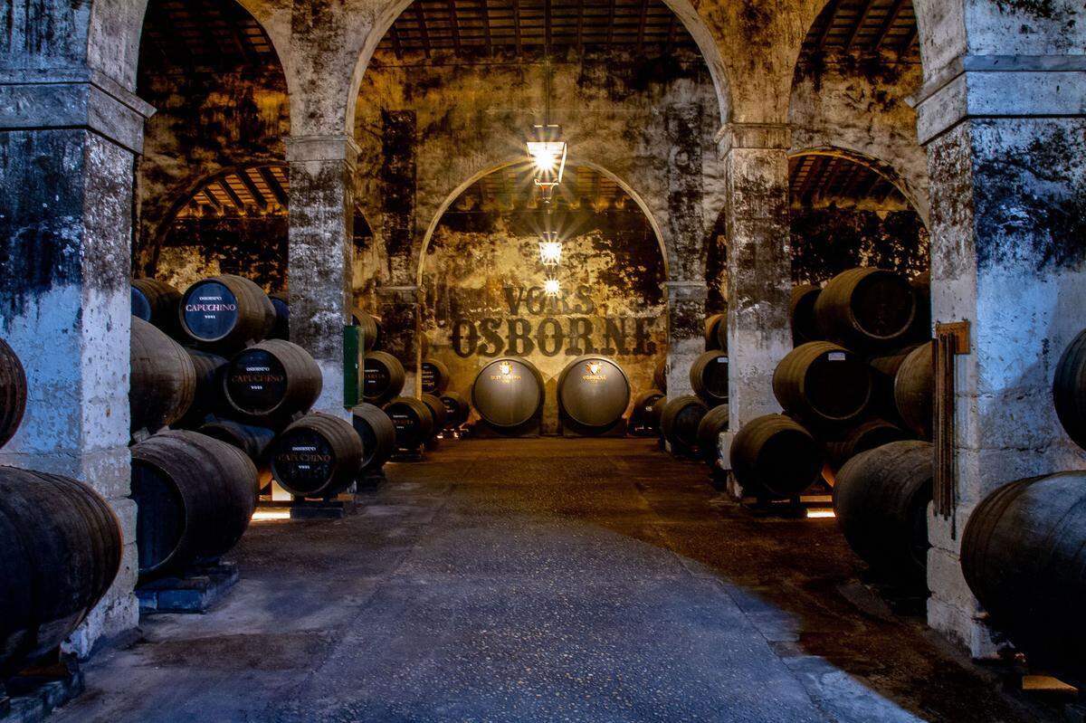 Visitas a las Bodegas Osborne y Cata de vinos de Jerez en El Puerto de Santa María, Cádiz.