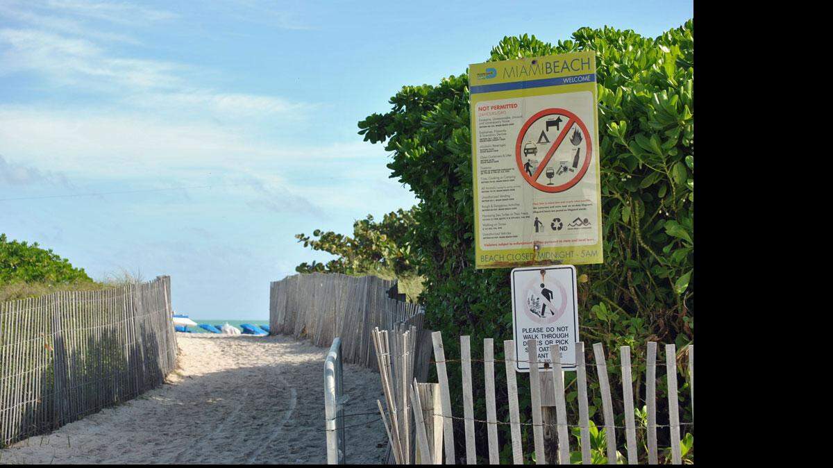La policía arrestó a un verdadero Ogro de Navidad después que trató de robar varios regalos navideños caros de turistas después que éstos entraron al agua en South Beach.