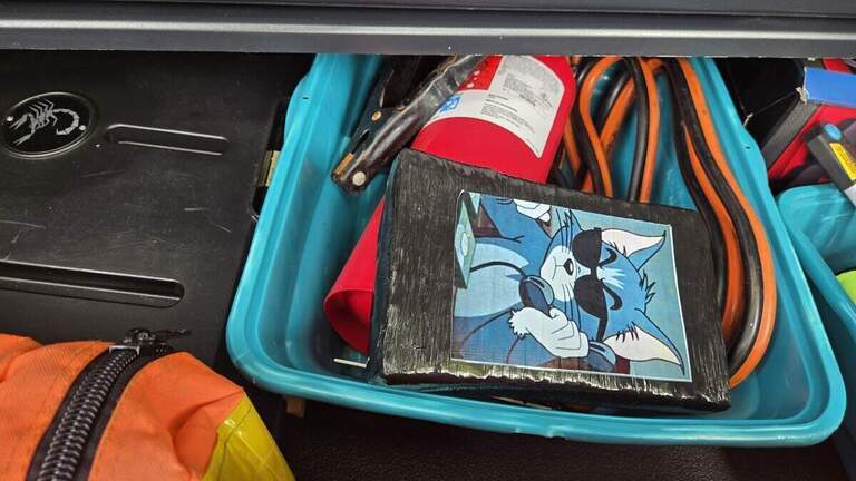 Paquete de cocaína con imagen de Tom y Jerry llega a los manglares de los Cayos de la Florida