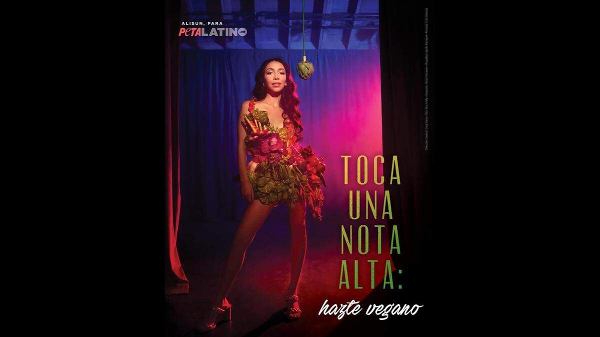 Alisun, la hita de Marco Antonio Solís