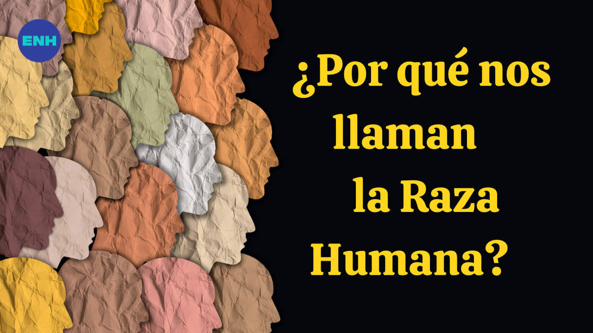 ¿De dónde viene el termino raza humana?