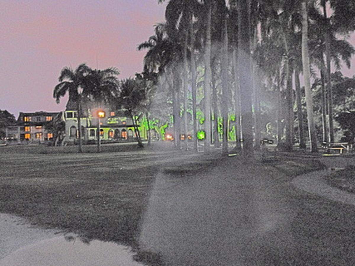 Deering Estate, en Cutler Bay, organiza recorridos de fantasmas.