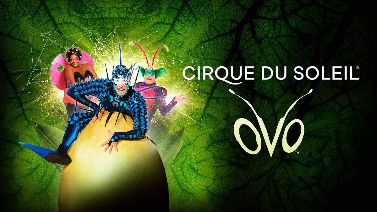Cirque du Soleil presenta ‘Ovo’, en el Kaseya Center.