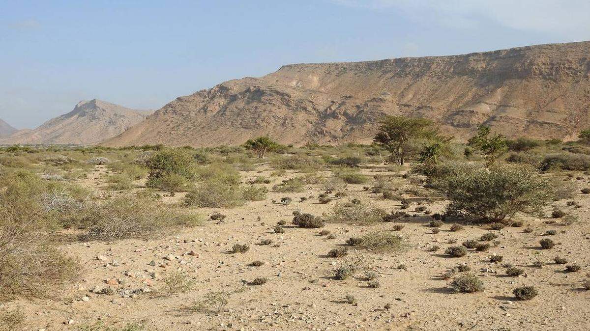 Un equipo de científicos descubren una nueva especie en el Cuerno de África.