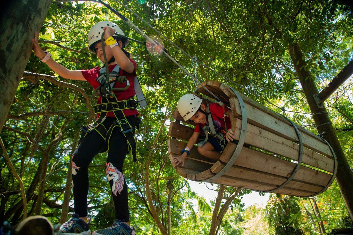 Treetop Trekking en Jungle Island está unicado en Miami Beach
