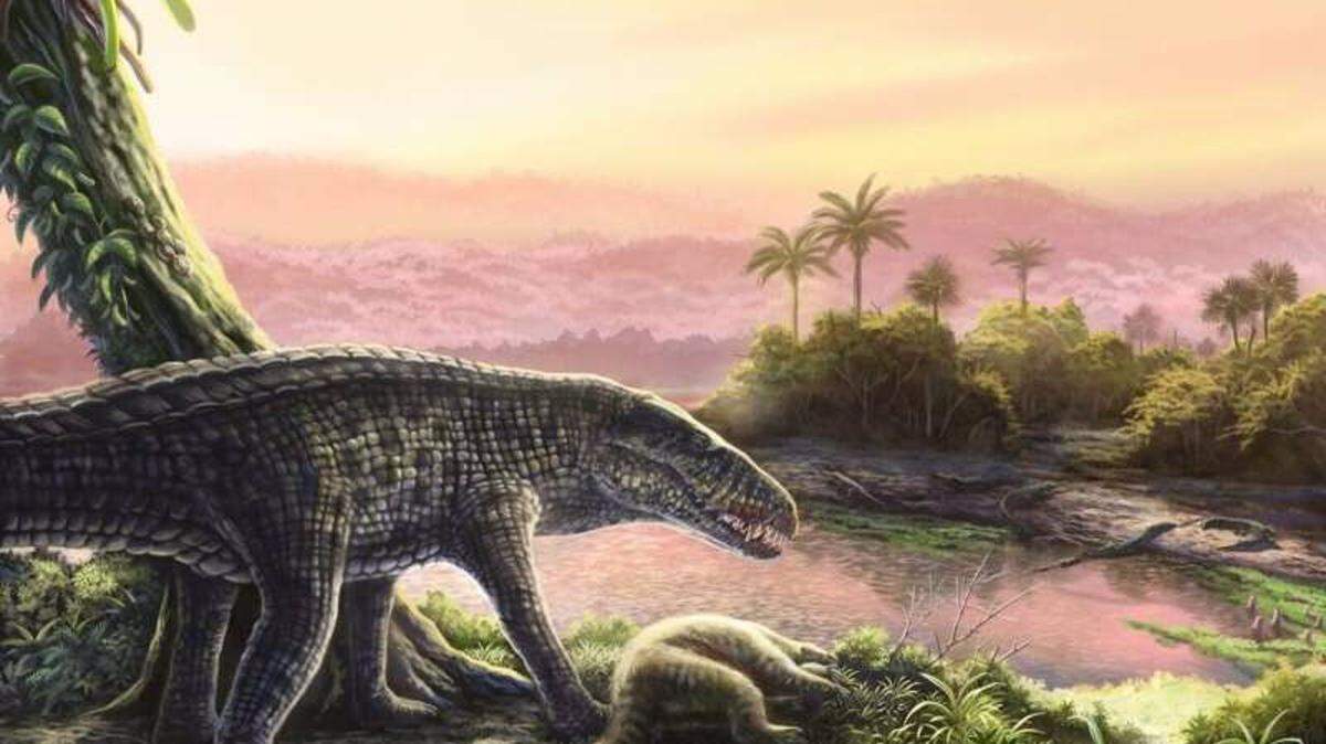 30/04/2025 Imaginen un cocodrilo con la complexión de un galgo: ese es un sebécido. De gran altura, con algunas especies que alcanzan los 6 metros de longitud, los sebécidos fueron depredadores superiores hasta su extinción durante el Mioceno.
POLITICA INVESTIGACIÓN Y TECNOLOGÍA
JORGE MACHUKY
