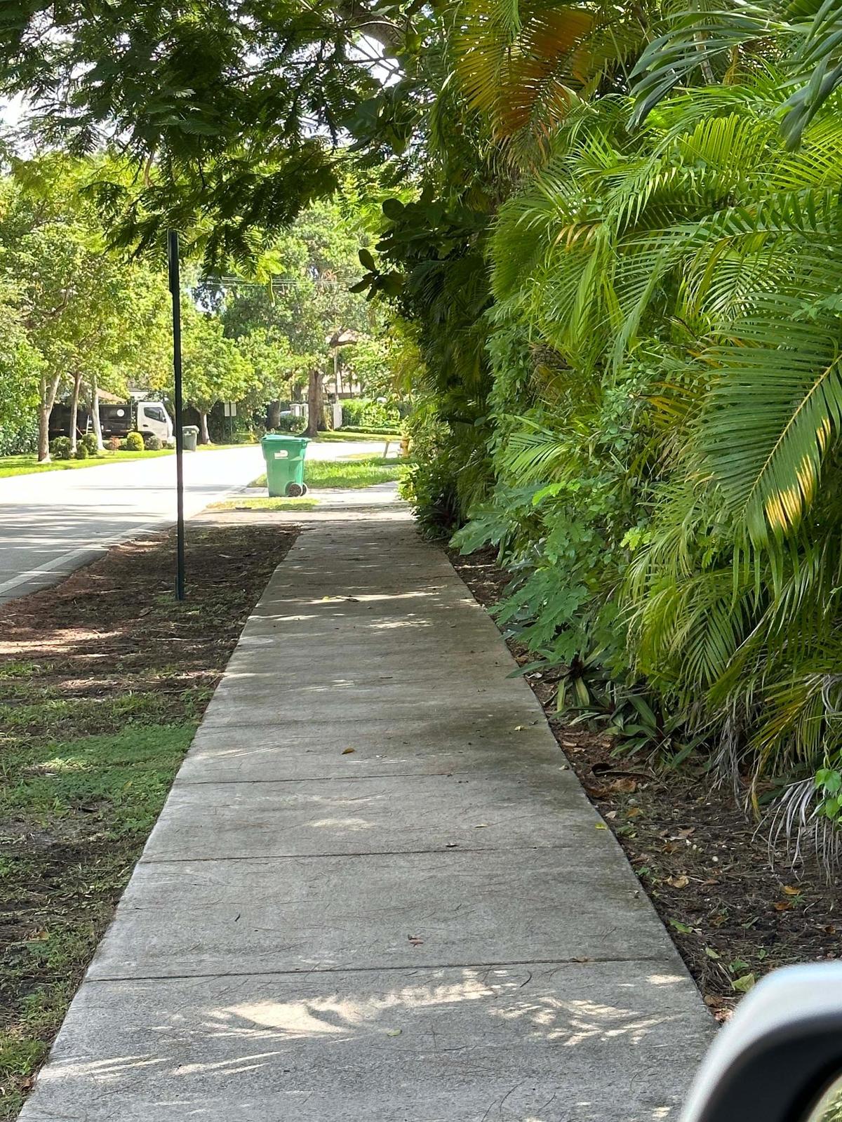 Vecinos de Pinecrest consideran que es innecesario reemplazar las actuales aceras, que casi no se usan, por un ancho y largo corredor de asfalto para las bicicletas.
