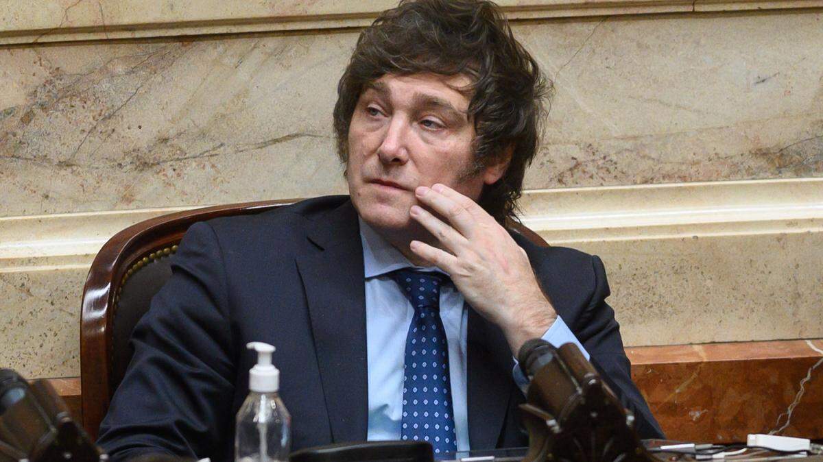 Javier Milei, diputado de la Cámara de Diputados de Argentina reacciona durante la sesión.