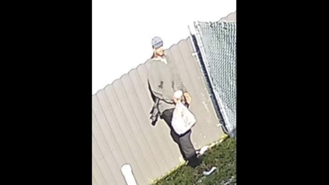 Policía arresta al sospechoso de matar a patadas a un pato y atacar a sus crías en Florida