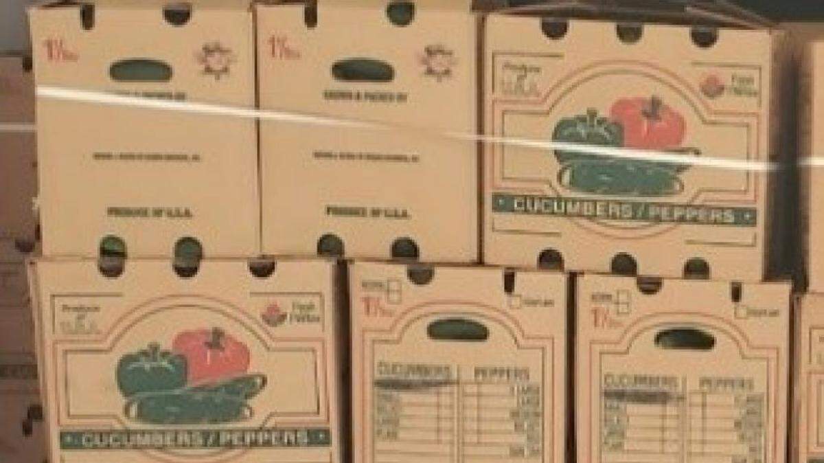 La empresa Fresh Start Produce Sales Inc., de Delray, Florida, retiró del mercado pepinos enteros cultivados en la Florida, en mayo de 2024.