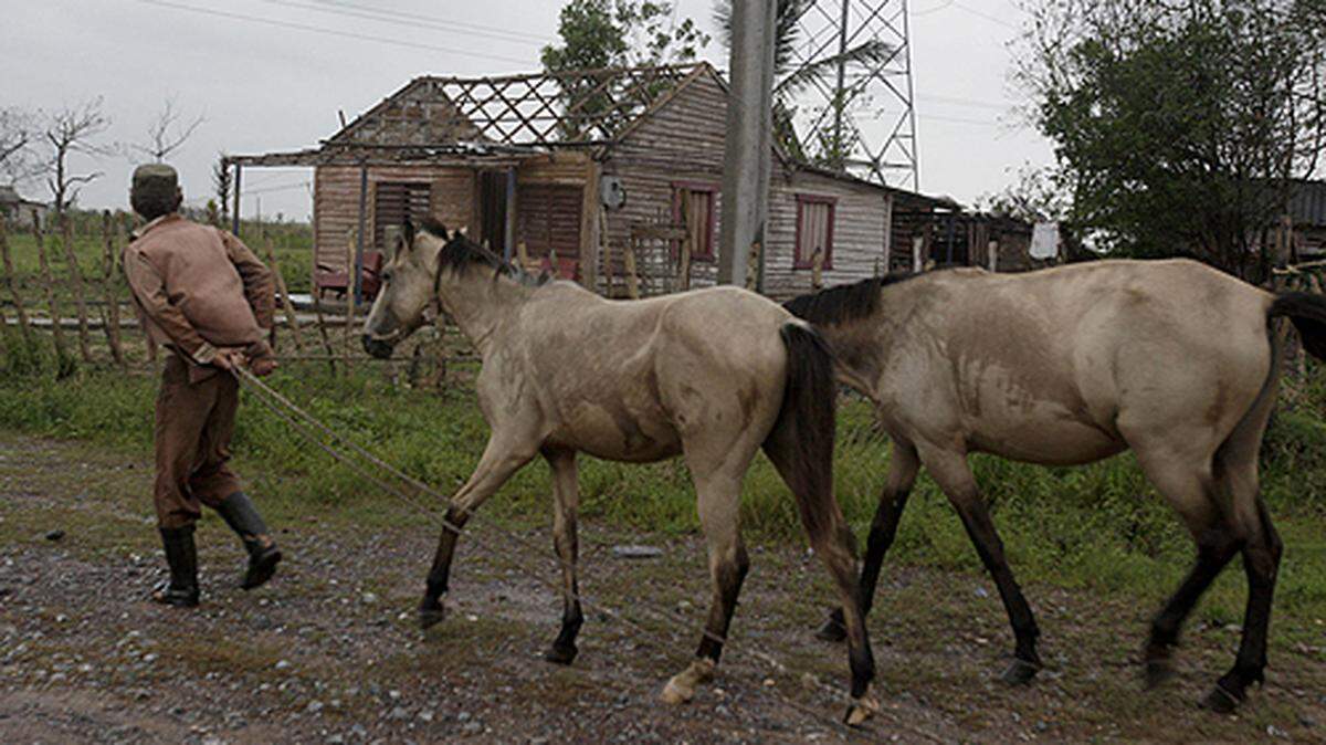 Foto de archivo de un campesino cubano junto a sus caballos. Cuba pretende mejorar sus producciones de alimentos usando drones en la agricultura.