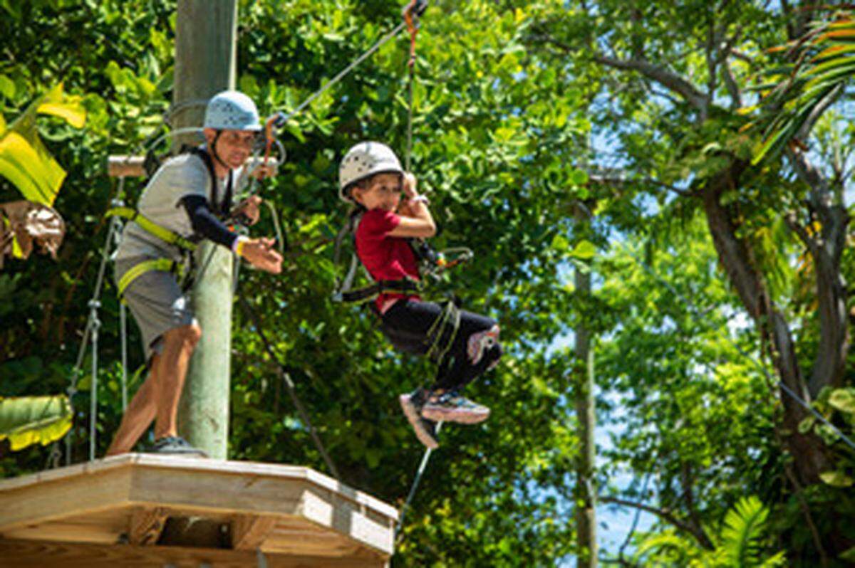 Atraviesa los árboles en&nbsp;Treetop Trekking Miami, el único parque de aventuras aéreas de South Florida, con un 25% de descuento en la entrada de lunes a viernes. 