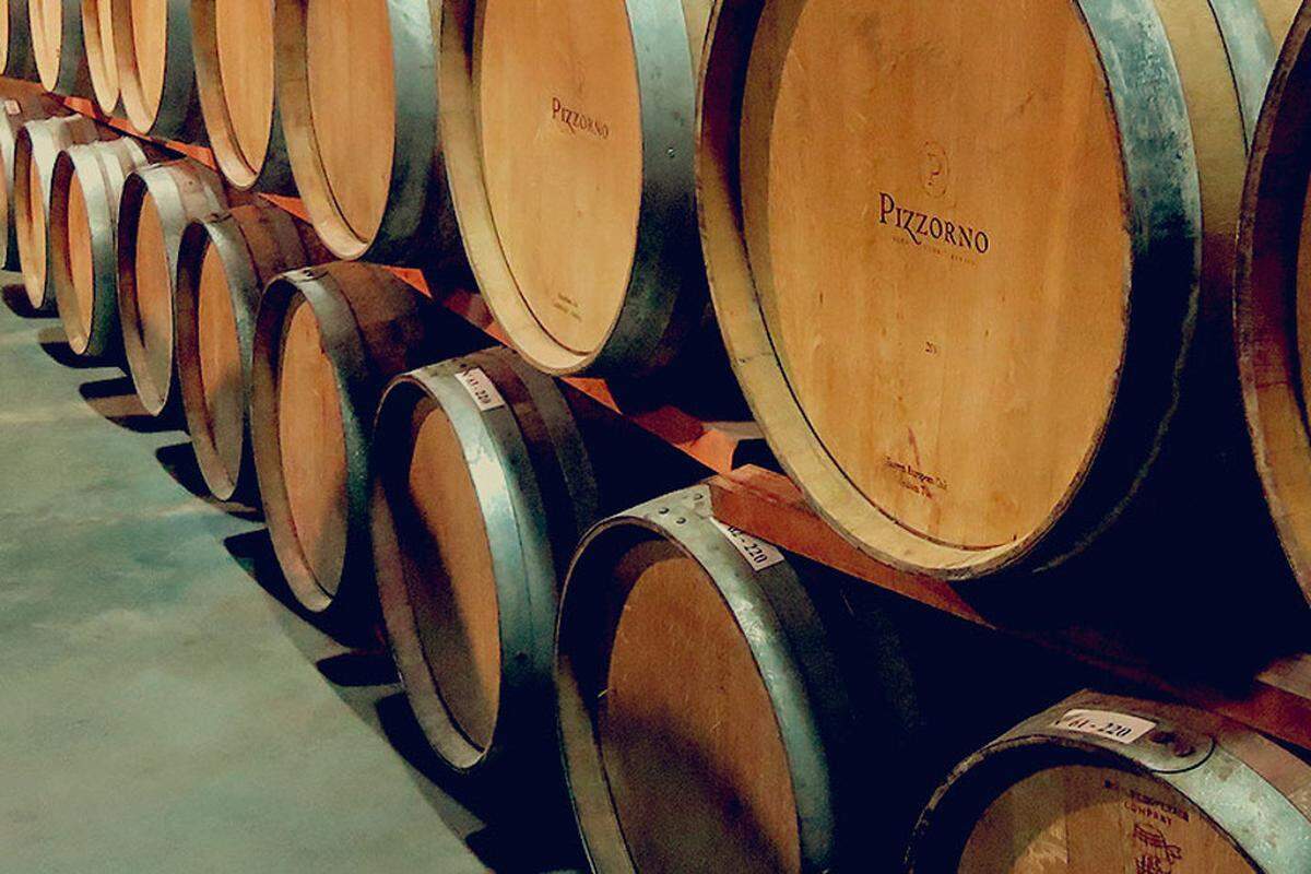 Las Bodega Pizzono se encuentran a 20 kilómetros al norte de Montevideo, donde un sumiller guía a los visitantes en un tour por viñedos de uva.