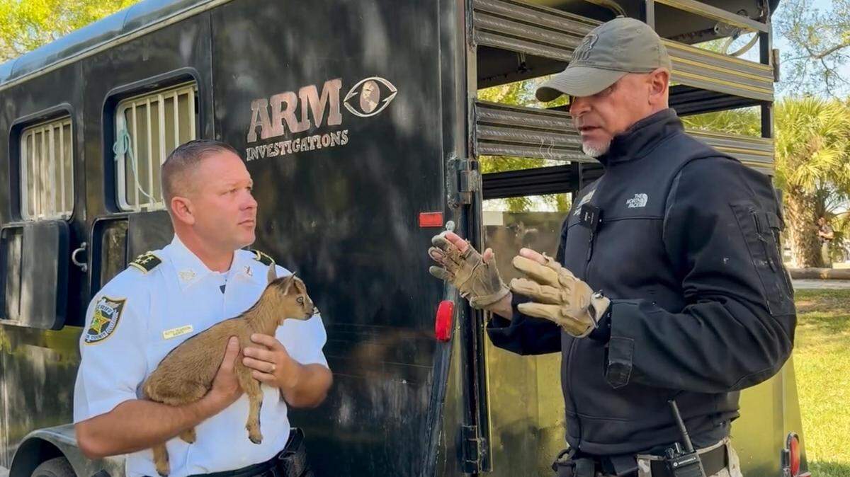 El jefe policial del condado St. Lucie, Keith Pearson, y el fundador de ARM, Richard Couto, en la granja donde presuntamente había un matadero ilegal de animales.