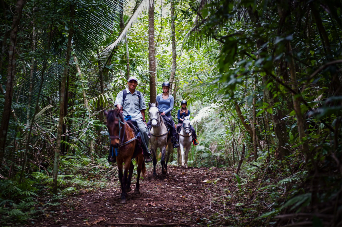Entre pinos, orquídeas salvajes y ríos cristalinos,&nbsp;Blancaneaux Lodge&nbsp;—el lodge selvático de la familia Coppola— ofrece cabalgatas memorables en plena Reserva Forestal Mountain Pine Ridge, en Belice. 