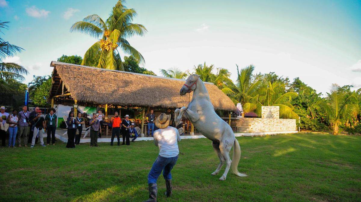 Participantes del X Encuentro Iberoamericano de Turismo Rural y Agroturismo recorrieron fincas de La Habana, donde el gobierno mostró la “riqueza del campo cubano”.