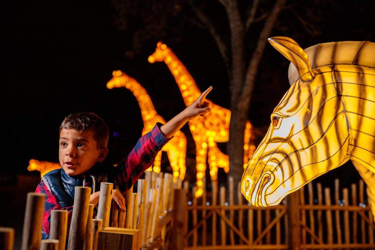 Zoo Lights Miami regresa este año con un millón de luces brillantes en forma de animales y deslumbrantes luces de árboles, hasta el 29 de diciembre, a partir de las 7 p.m. y hasta las 10 p.m. en determinadas noches.