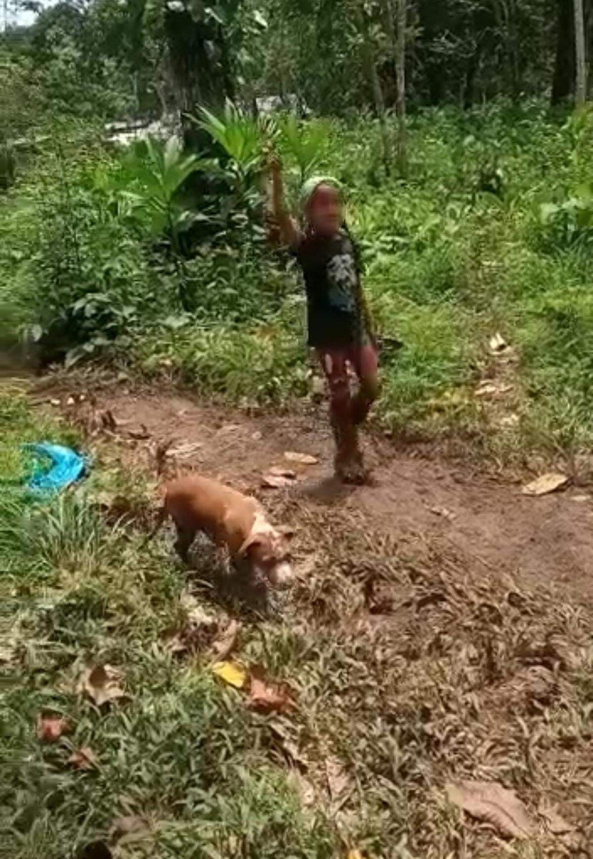 El cachorro Max en la selva del Darién.