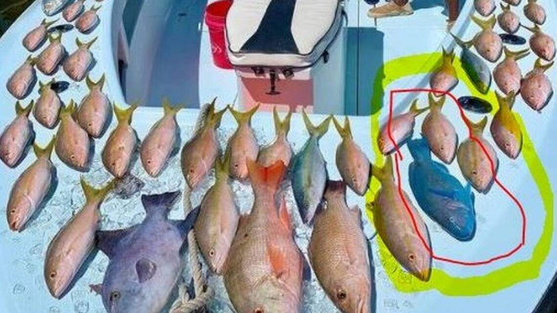 Colgó fotos de pescados en Instagram y terminó tras las rejas