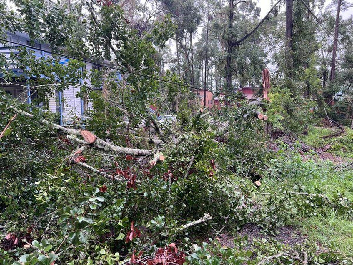 Daños alrededor de Tallahassee a medida que el huracán Debby avanza, incluidos estos árboles caídos que rompieron un poste de electricidad cerca de Kay Ave. y Par Lane, el 5 de agosto de 2024.