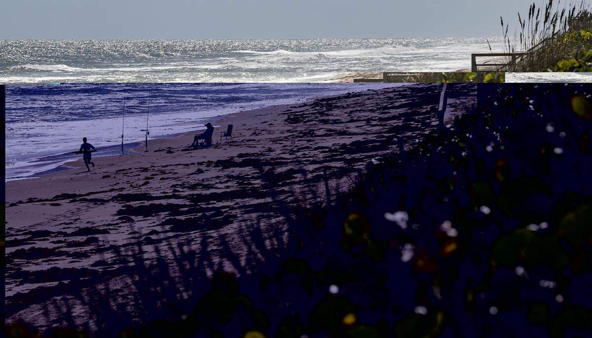 Varias personas disfrutan de la playa cerca del Santuario de Barrier Island el miércoles 15 de octubre de 2025, en Melbourne Beach, Florida. 