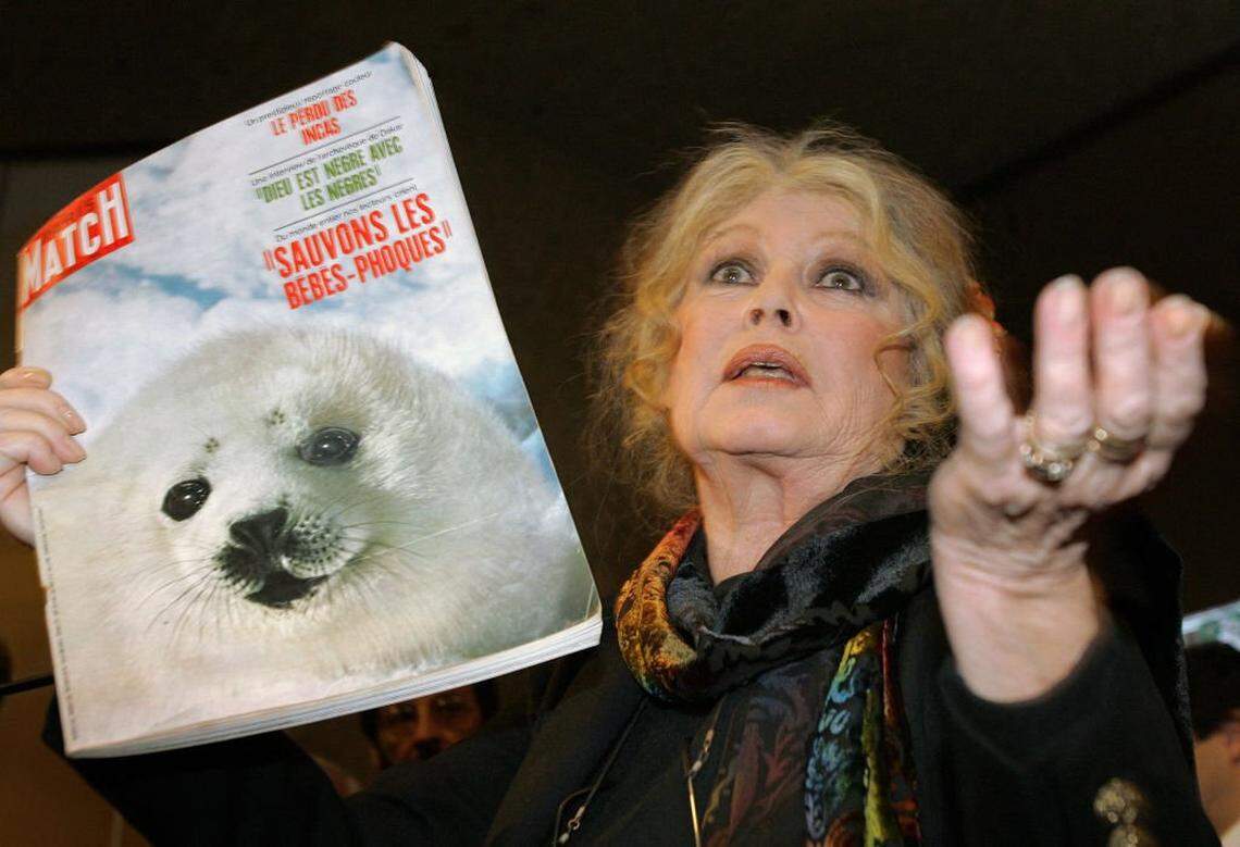 Brigitte Bardot fue una abanderada en favor de la protección de los animales, una gestión que emprendió tras retirarse del cine en 1973 y que extendió hasta el presente con una fundación que lleva su nombre.
