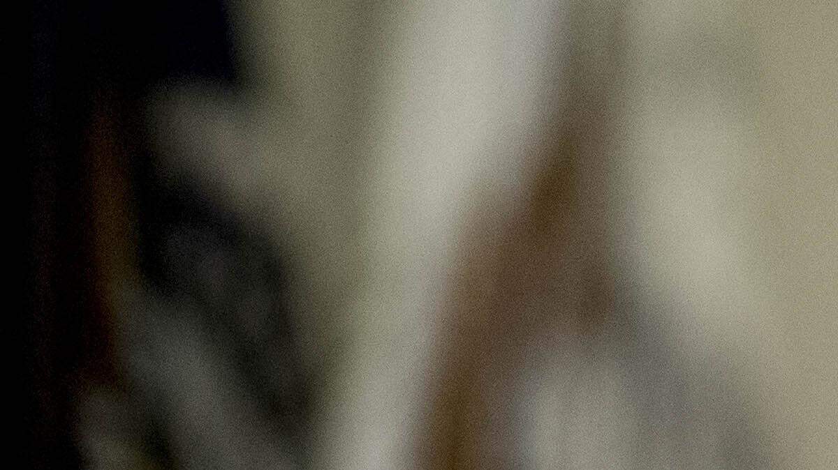 El presidente Donald Trump en una reunión en el Roosevelt Room de la Casa Blanca, el 7 de febrero del 2017.