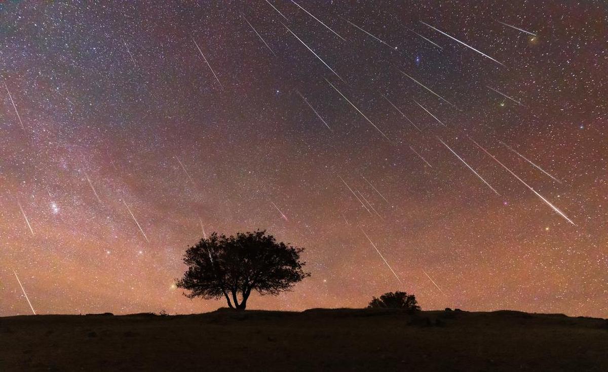 Un árbol en la pradera bajo la lluvia de meteoritos Gemínidas. Las Gemínidas provienen del asteroide Faetón, en órbita alrededor del Sol.